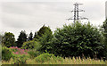 Pylons and power lines, Dunmurry (5)