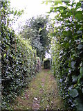 TM4160 : Footpath to Mill Road & Chase's Lane by Geographer