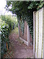 Footpath junction on Friston footpath no.28