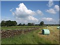 Bales near Brown Bank