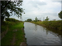 SJ7362 : Trent & Mersey Canal by Alexander P Kapp