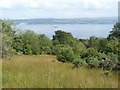 View from Wyndham Road to Firth of Clyde