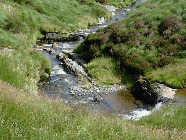 Afon Tarennig near Eisteddfa Gurig, Powys