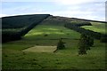 View north from Loanhead Plantation ridge (July)