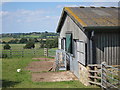 Thatched barn at Lunsford Farm