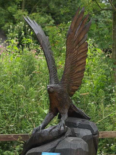 Osprey Carving