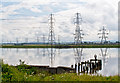 River Forth at Alloa