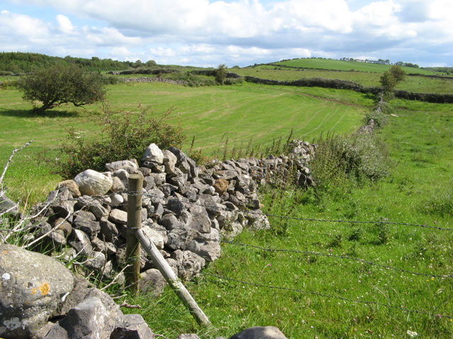 Field walls and pasture