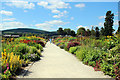 O2116 : Herbaceous Border, Powerscourt, County Wicklow, Ireland by Christine Matthews