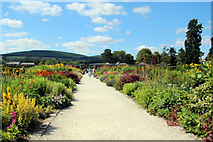 O2116 : Herbaceous Border, Powerscourt, County Wicklow, Ireland by Christine Matthews