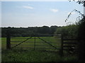 Stile and Gate near Kangles Wood