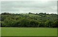 Pasture and woodland south-west of Stags Head, Ceredigion