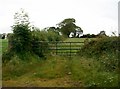 Farm field gates at Ballintogher on the Strangford Road