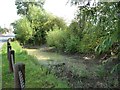 Small roadside pond, Wintersett