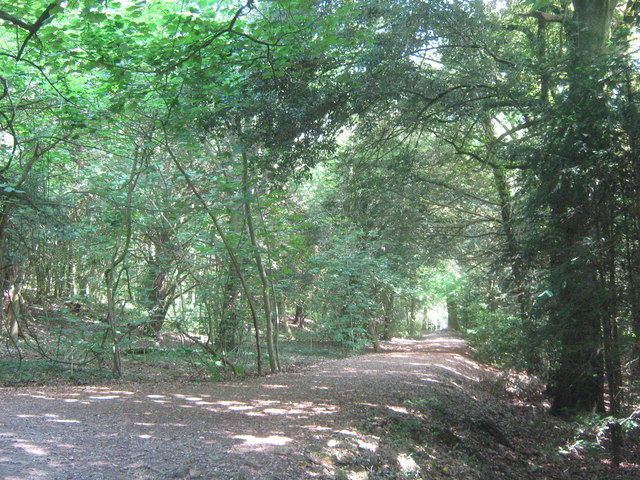 Permissive path in Cuckoo Wood © David Anstiss :: Geograph Britain and ...