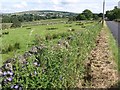 Pastures next to the A689, looking towards Alston