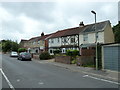 Houses in Tribe Road