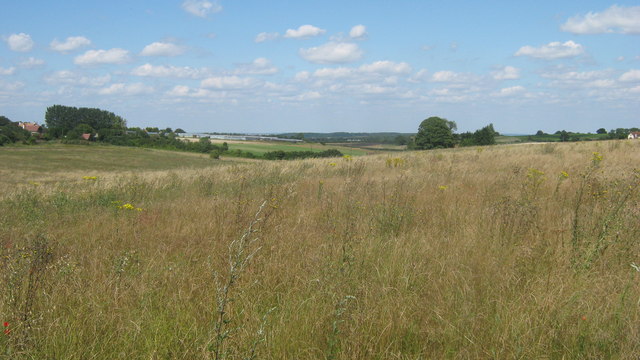 View from Black Bush Wood