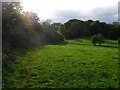 Hangers Way Footpath