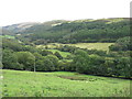 Afon Cyneiniog valley