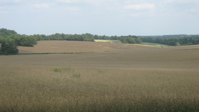 Fields near Bogey Lane