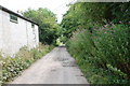 Track to High Trees Farm