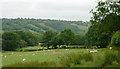 Farmland in Dyffryn Aeron south-west of Llangeitho, Ceredigion