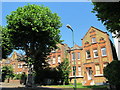 Houses in Christchurch Avenue, NW6