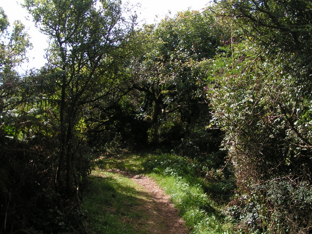 The South West Coast Path on a sunny day