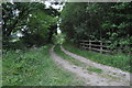 Country Lane