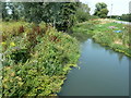 River Rother at Coultershaw Bridge