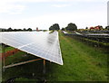 Solar-panel farm, Bishops Lydeard