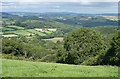 West Buckfastleigh: above Bowden