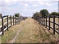 Bridleway over a ridge and furrow field