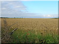 Farmland near Barrow Vale