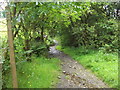 Footpath, Michael Wife Lane, Edenfield