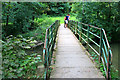 Footbridge over the Frome