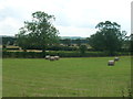 Farmland, Grasby