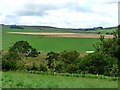 Looking across the valley of the Jed Water