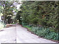 Footpath to Waldringfield Road & entrance to Woodbridge Sewage Treatment Works