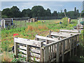 Allotment by New Road