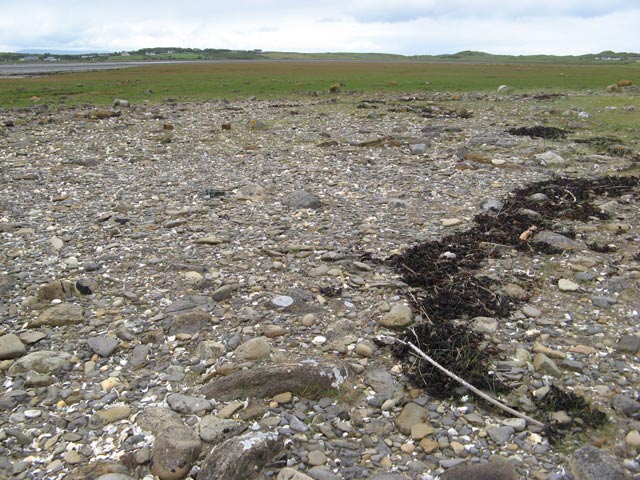 High tide mark © Jonathan Wilkins cc-by-sa/2.0 :: Geograph Britain and ...