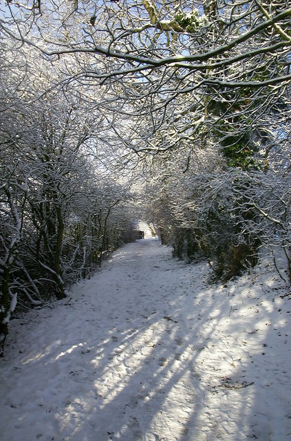 Snow covered lane, Coxhoe