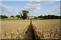 Little Lodge Farm, Castle Hedingham