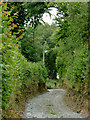 Farm track west of Stags Head, Ceredigion