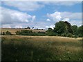 View across fields near Kings Somborne