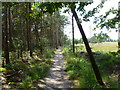 Holton Heath, footpath