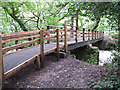 Footbridge at Shaugh Bridge