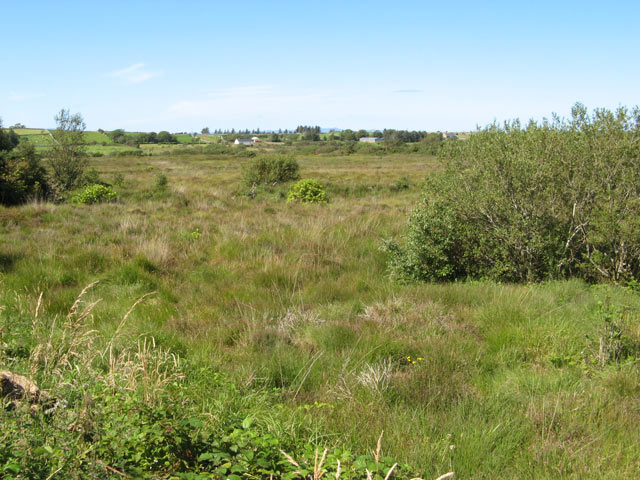 The bog, near Rathfrask