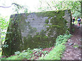 Settling tank at Shaugh Prior